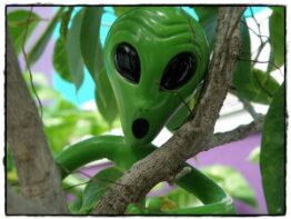 Ароматизаторы Little Green Man