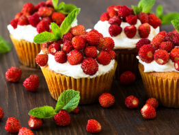 Forest Strawberry