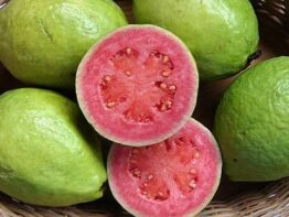 Guava
