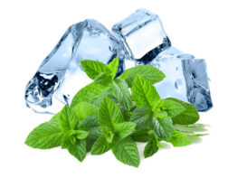 Spearmint