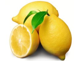 Lemon