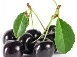 Black Cherry