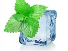 CoolMint